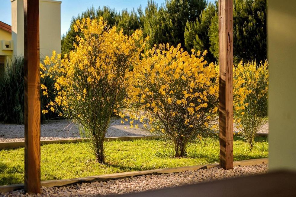 Cabanas De Las Pinturas Villa Sierra de la Ventana Bagian luar foto