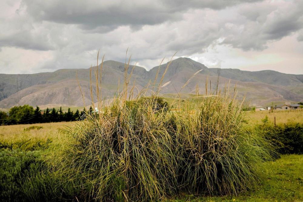 Cabanas De Las Pinturas Villa Sierra de la Ventana Bagian luar foto